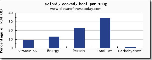vitamin b6 and nutrition facts in salami per 100g